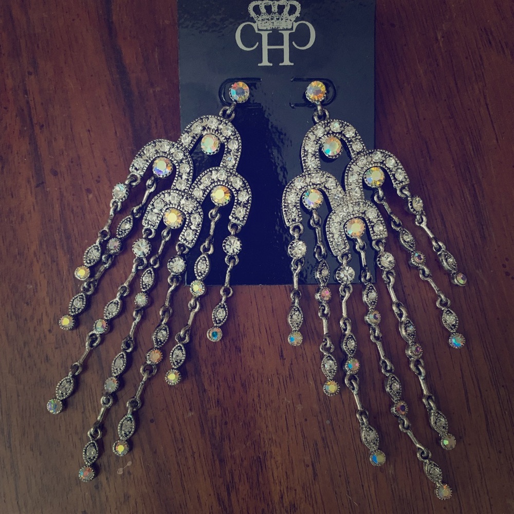 NWT Iridescent Silver Long Earrings